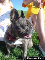 060820041814d 060820041814d