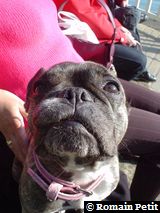 301020041537h 301020041537h