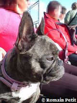 301020041538a 301020041538a