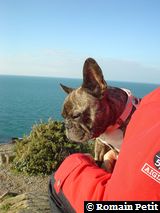 311020041533i 311020041533i