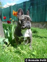 190420051153l 190420051153l