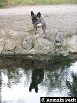 040720051844a 040720051844a