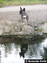 040720051844b 040720051844b