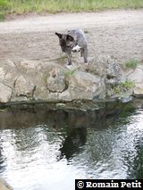 040720051844c 040720051844c