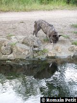 040720051844d 040720051844d