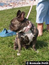 180820051623c 180820051623c