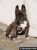 011020051427a 011020051427a