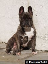 011020051427c 011020051427c