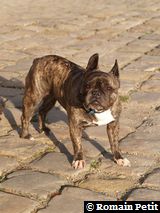 231020051718b 231020051718b