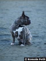 291020050922b 291020050922b