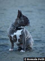 291020050923a 291020050923a