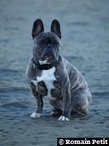 291020050923b 291020050923b