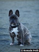 291020050923c 291020050923c