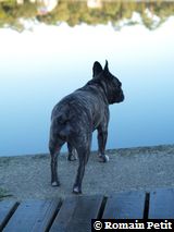 291020050931b 291020050931b