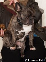 010120061217c 010120061217c