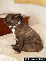 010120061221b 010120061221b