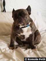 010120061221c 010120061221c