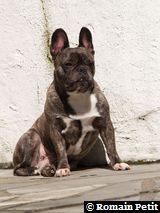 020420061434e 020420061434e