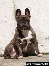 020420061434f 020420061434f