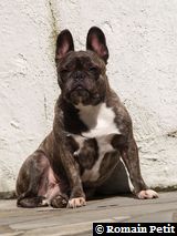 020420061434g 020420061434g