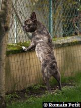 020420061435d 020420061435d