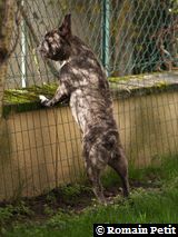 020420061435e 020420061435e