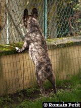 020420061435f 020420061435f