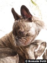 020420061440a 020420061440a