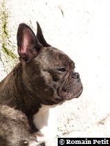 020420061440b 020420061440b