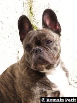 020420061440c 020420061440c