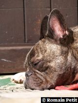 020420061442c 020420061442c