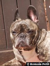 020420061443a 020420061443a