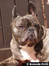 020420061443b 020420061443b