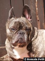 020420061443d 020420061443d