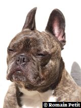 020420061602d 020420061602d