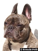 020420061602e 020420061602e