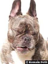 020420061602f 020420061602f