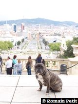 170420061126g 170420061126g