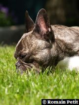 180520061230e 180520061230e