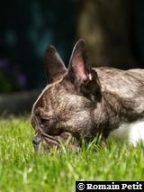 180520061231a 180520061231a