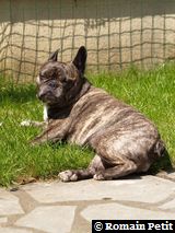 030620061146a 030620061146a