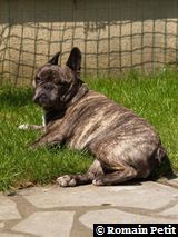 030620061146b 030620061146b