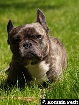 030620061147a 030620061147a