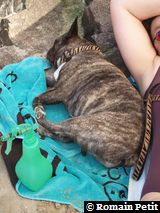 180620061554 180620061554