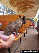 300720061529c 300720061529c