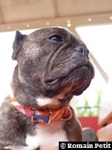 300720061534a 300720061534a