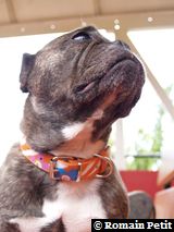 300720061534b 300720061534b