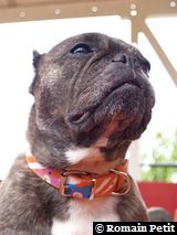 300720061534c 300720061534c