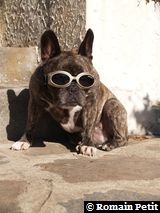 070820060911c 070820060911c