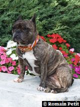 280920061659c 280920061659c